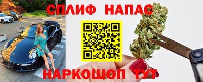 молекула духа Славянск-на-Кубани