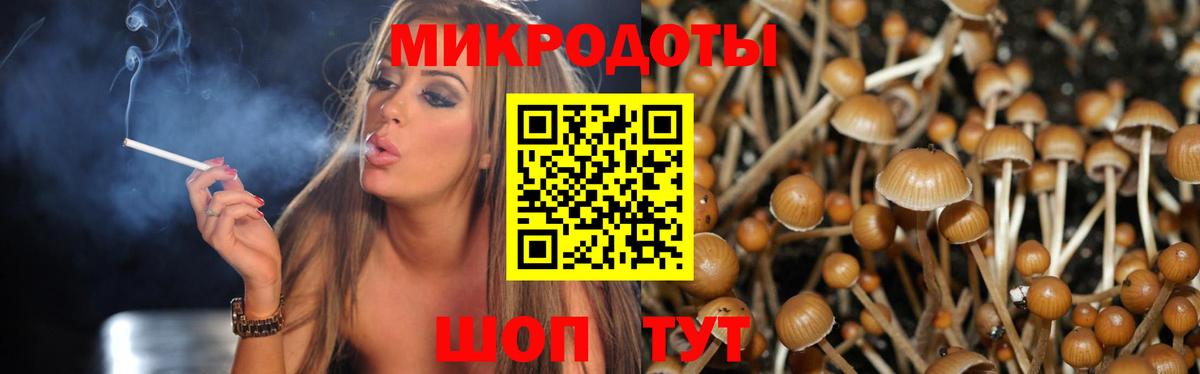Самара  Псилоцибиновые грибы прущие грибы  Вход с VPN 